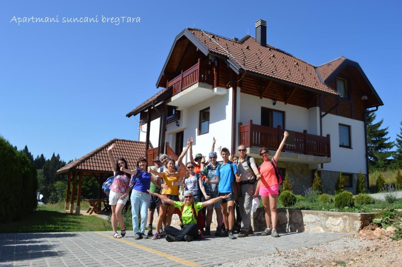 Apartmani Suncani Breg Tara Mitrovac Exterior foto