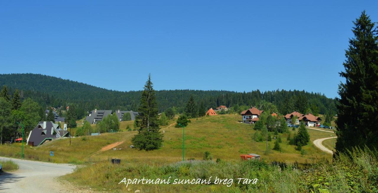 Apartmani Suncani Breg Tara Mitrovac Exterior foto