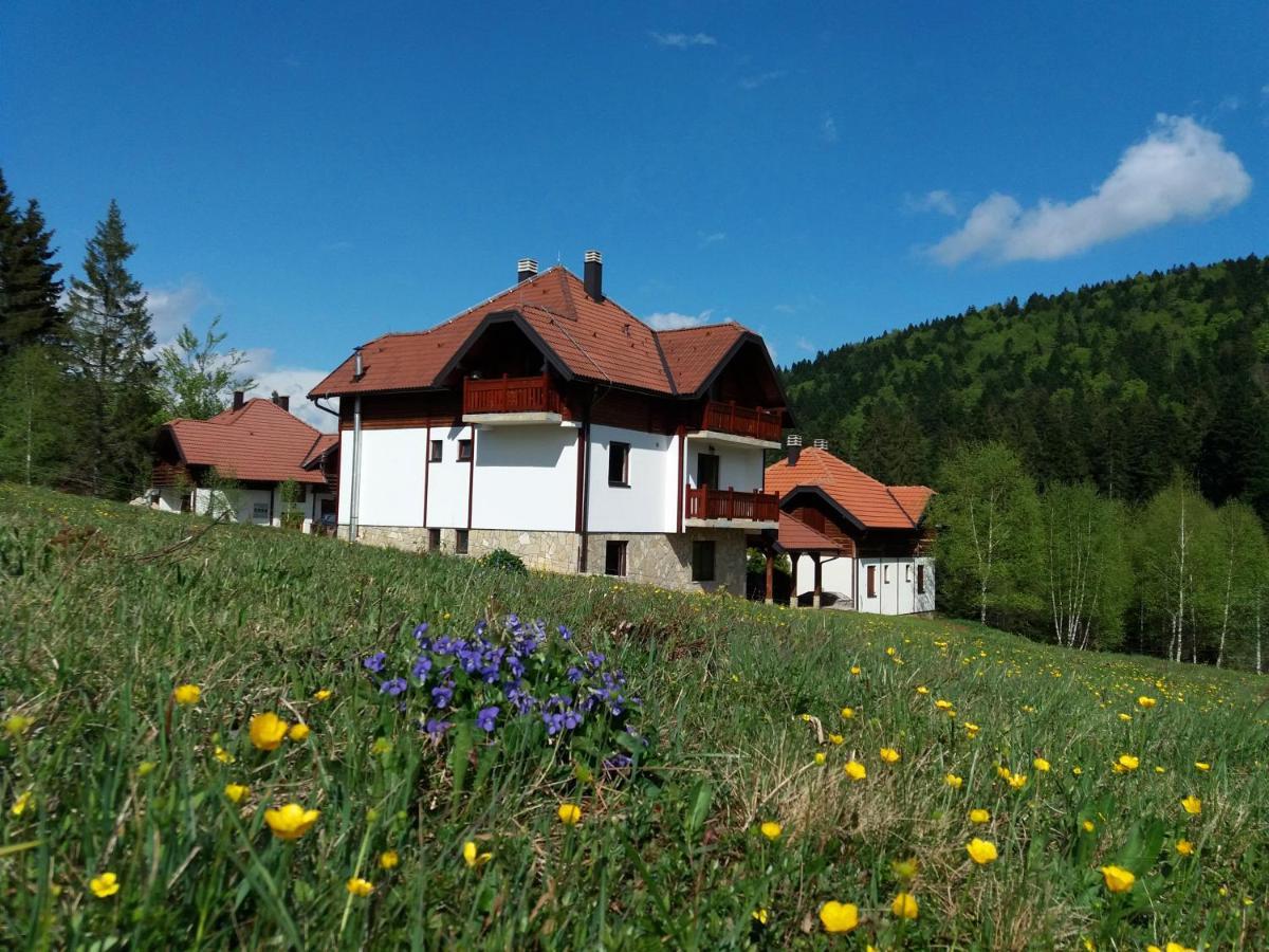 Apartmani Suncani Breg Tara Mitrovac Exterior foto